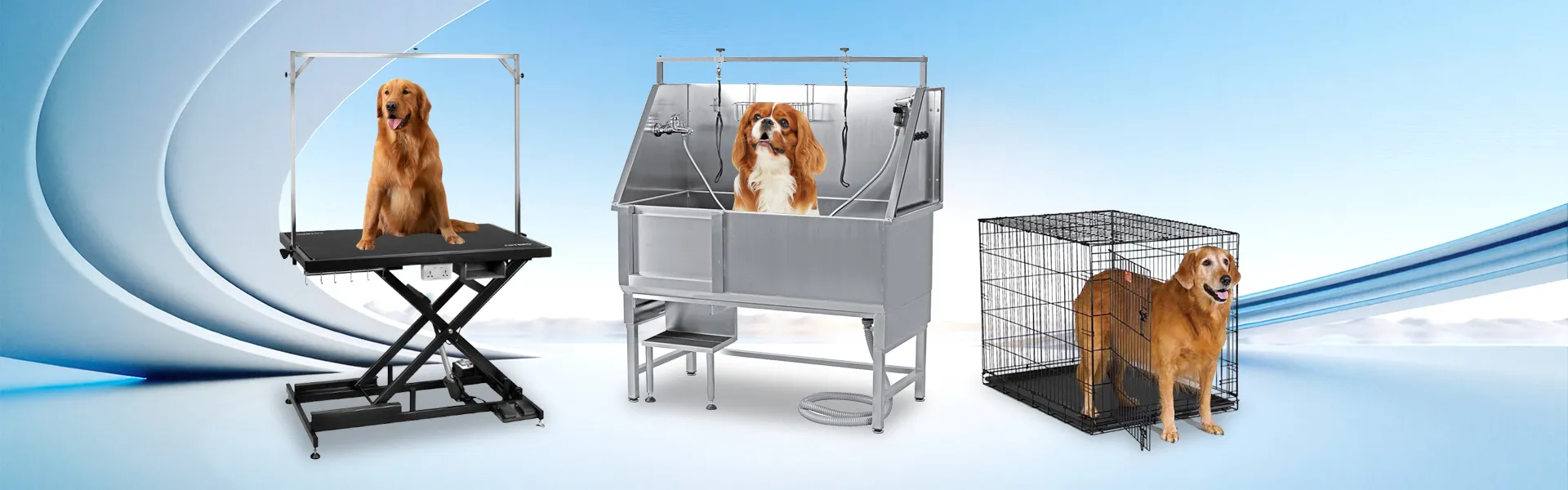 डाउनलोड करा