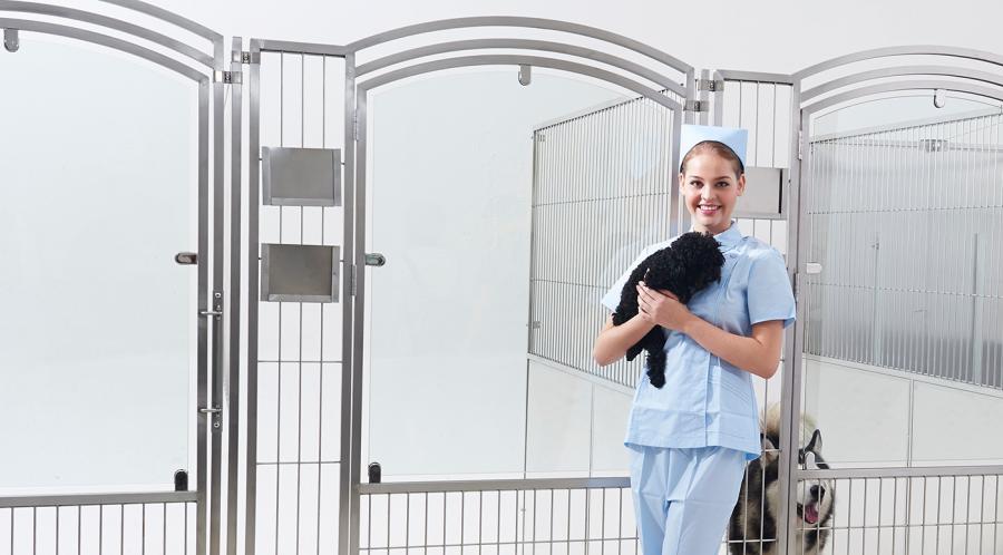 Multi-purpose Animal Boarding and Quarantine Cage